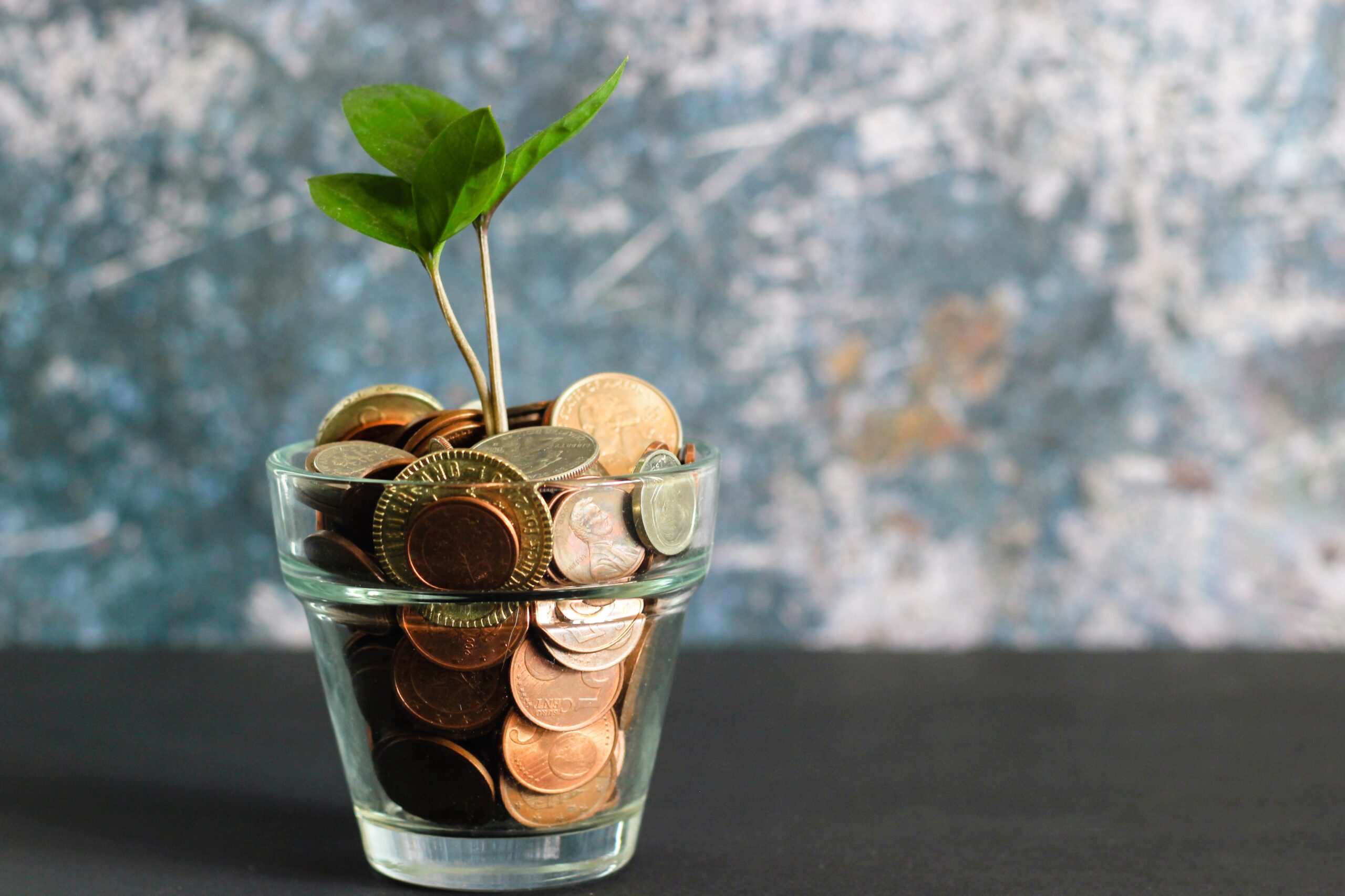 personal finance, welath building